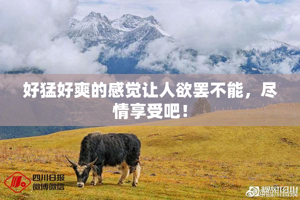 好猛好爽的感觉让人欲罢不能，尽情享受吧！