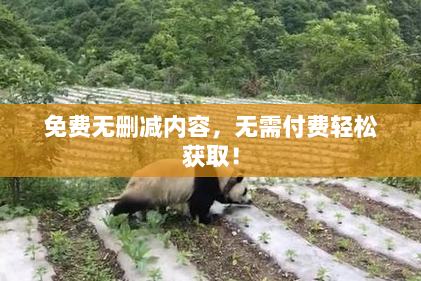 免费无删减内容，无需付费轻松获取！