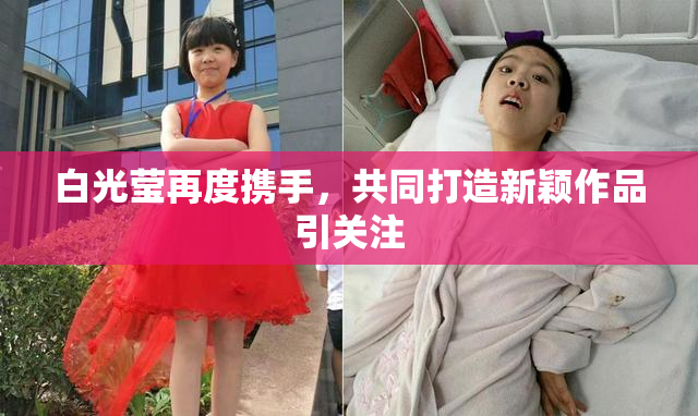 白光莹再度携手，共同打造新颖作品引关注