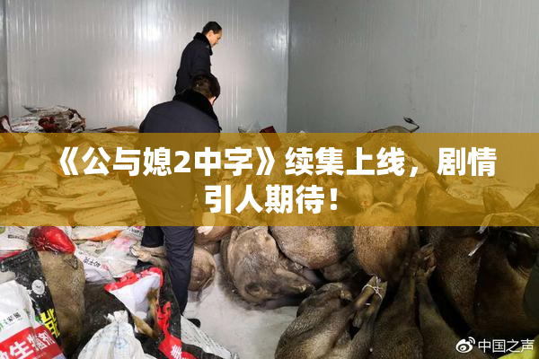 《公与媳2中字》续集上线，剧情引人期待！