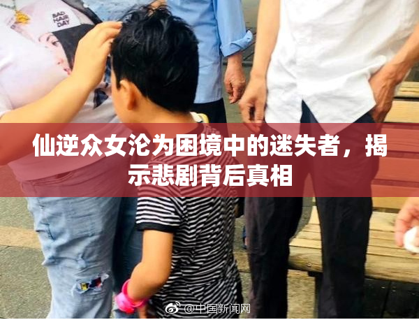 仙逆众女沦为困境中的迷失者，揭示悲剧背后真相