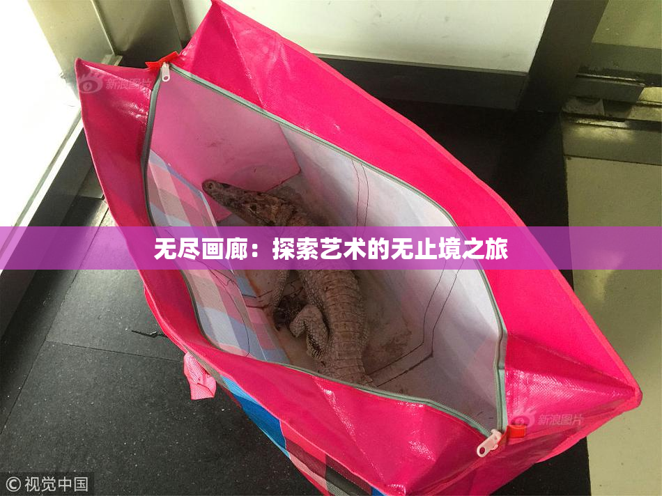无尽画廊：探索艺术的无止境之旅
