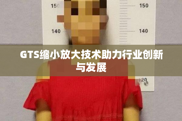 GTS缩小放大技术助力行业创新与发展