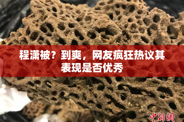 程潇被？到爽，网友疯狂热议其表现是否优秀