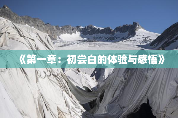 《第一章：初尝白的体验与感悟》
