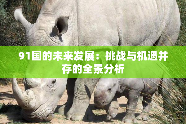 91国的未来发展：挑战与机遇并存的全景分析