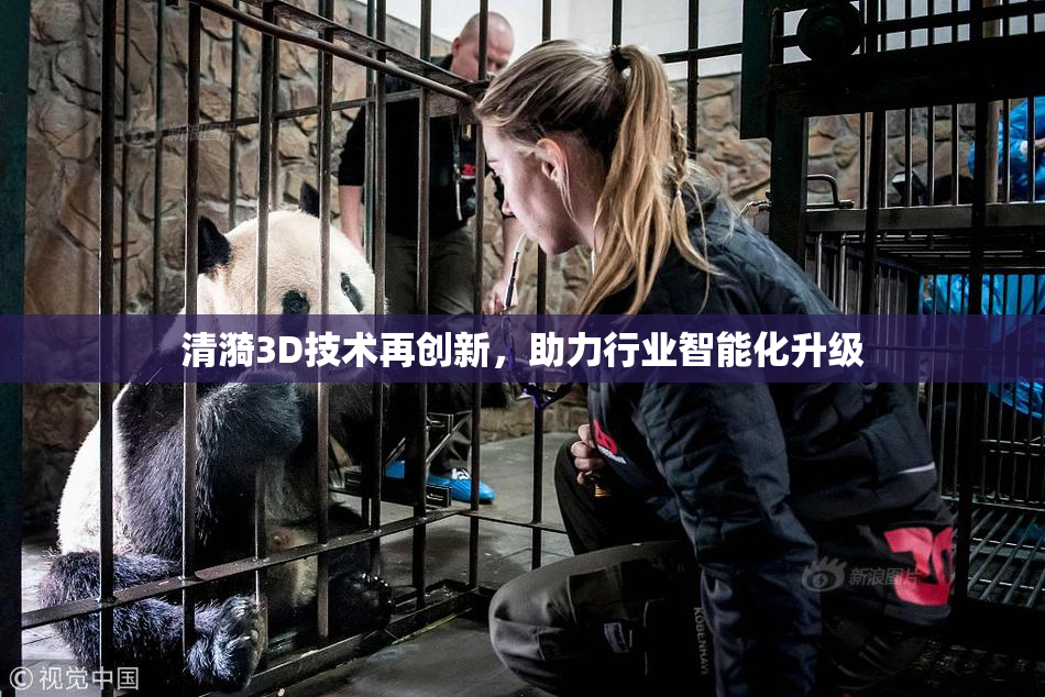 清漪3D技术再创新，助力行业智能化升级