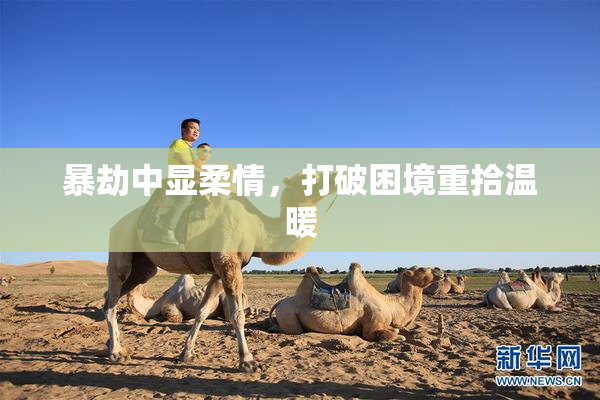 暴劫中显柔情，打破困境重拾温暖