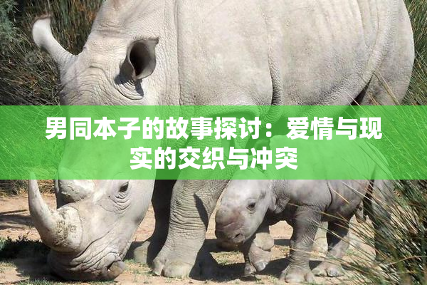 男同本子的故事探讨：爱情与现实的交织与冲突