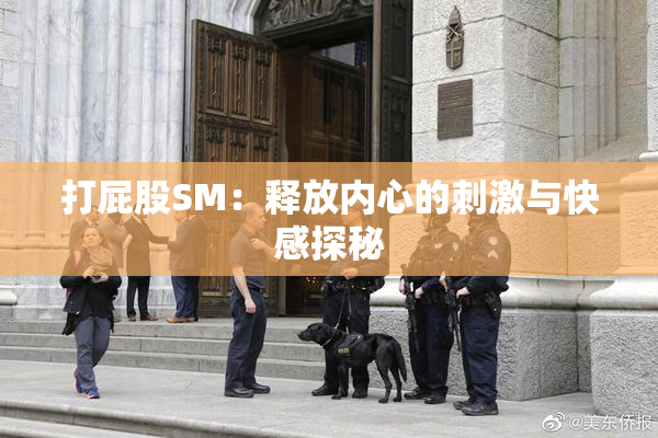 打屁股SM：释放内心的刺激与快感探秘