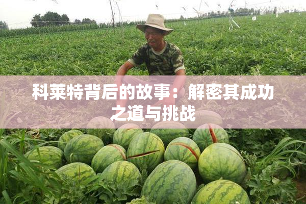 科莱特背后的故事：解密其成功之道与挑战