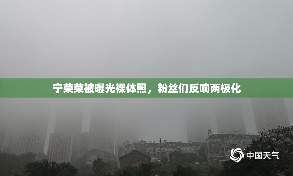 宁荣荣被曝光裸体照，粉丝们反响两极化