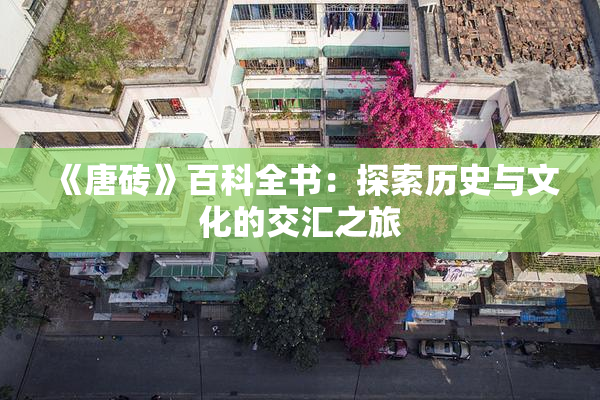 《唐砖》百科全书：探索历史与文化的交汇之旅