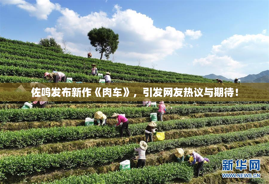 佐鸣发布新作《肉车》，引发网友热议与期待！