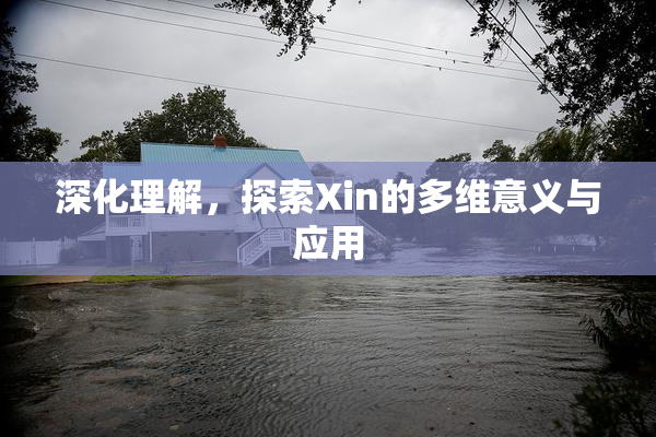 深化理解，探索Xin的多维意义与应用