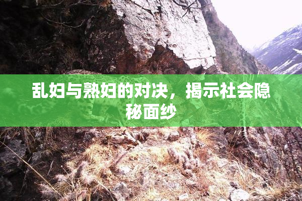 乱妇与熟妇的对决，揭示社会隐秘面纱