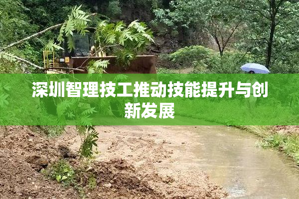 深圳智理技工推动技能提升与创新发展