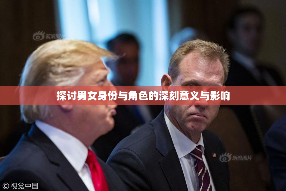 探讨男女身份与角色的深刻意义与影响