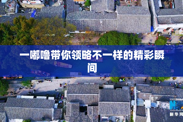 一嘟噜带你领略不一样的精彩瞬间