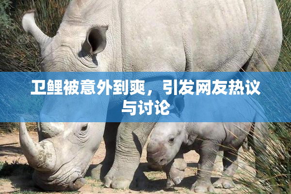 卫鲤被意外到爽，引发网友热议与讨论
