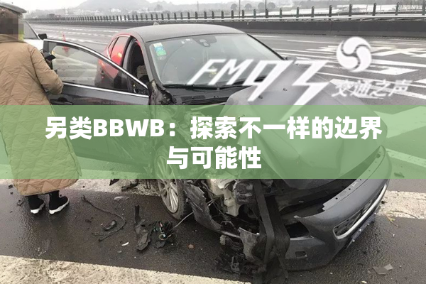 另类BBWB：探索不一样的边界与可能性