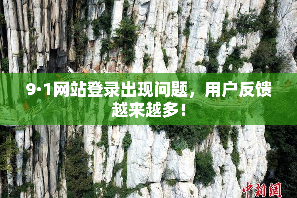9·1网站登录出现问题，用户反馈越来越多！