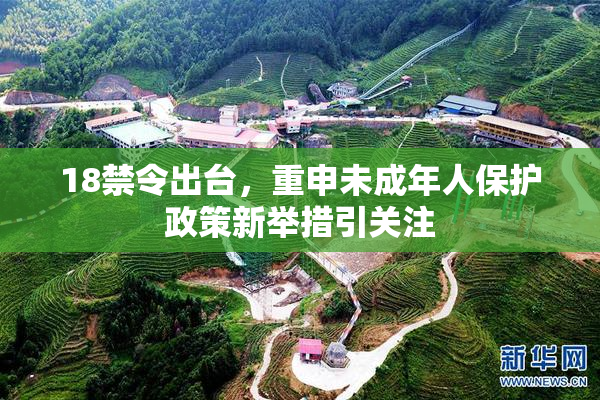 18禁令出台，重申未成年人保护政策新举措引关注