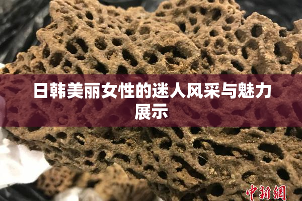 日韩美丽女性的迷人风采与魅力展示