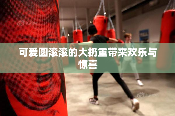 可爱圆滚滚的大扔重带来欢乐与惊喜