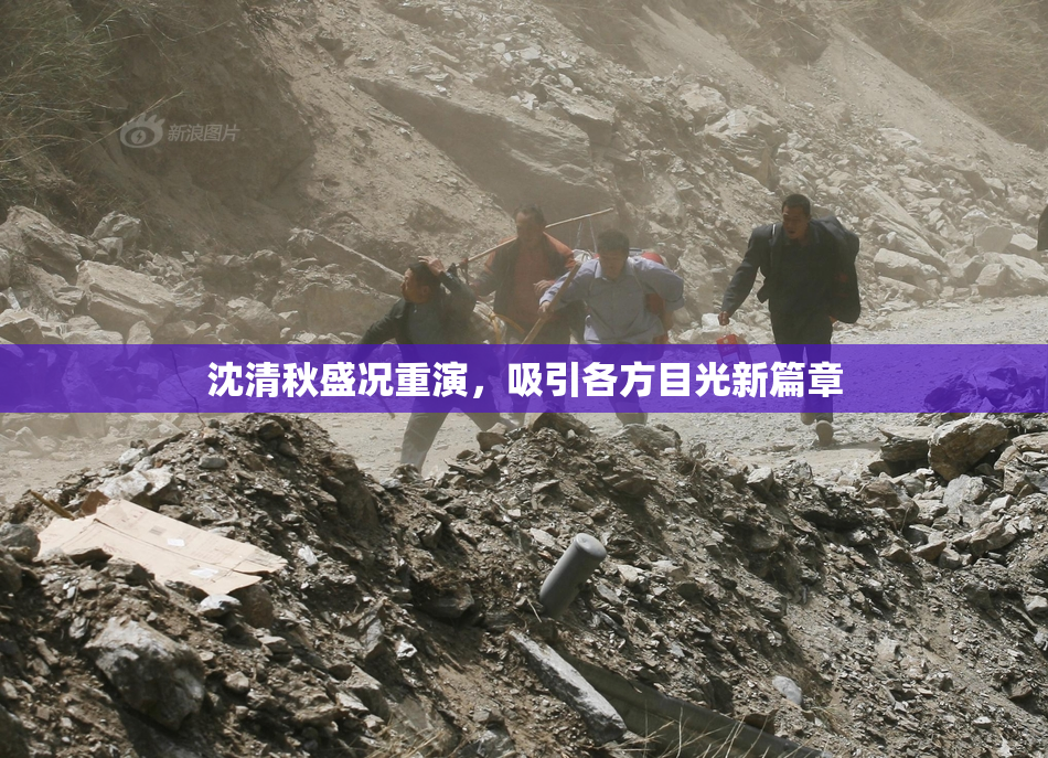 沈清秋盛况重演，吸引各方目光新篇章