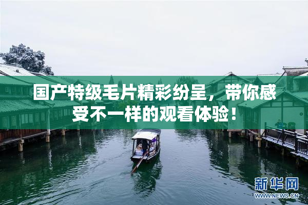 国产特级毛片精彩纷呈，带你感受不一样的观看体验！