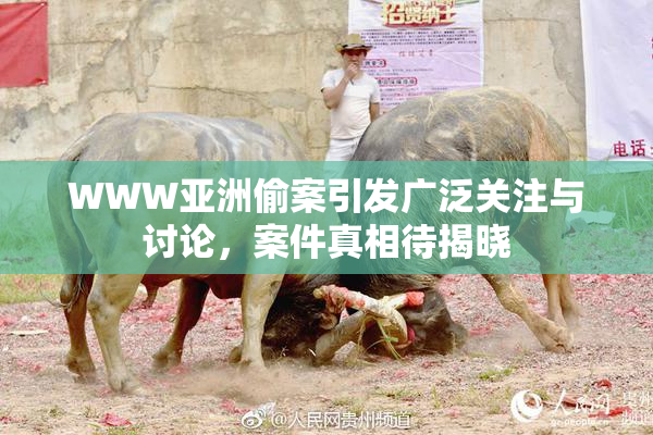 WWW亚洲偷案引发广泛关注与讨论，案件真相待揭晓