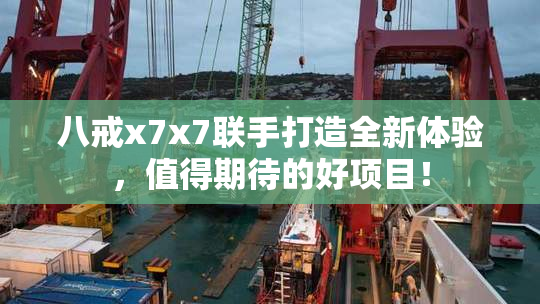 八戒x7x7联手打造全新体验，值得期待的好项目！
