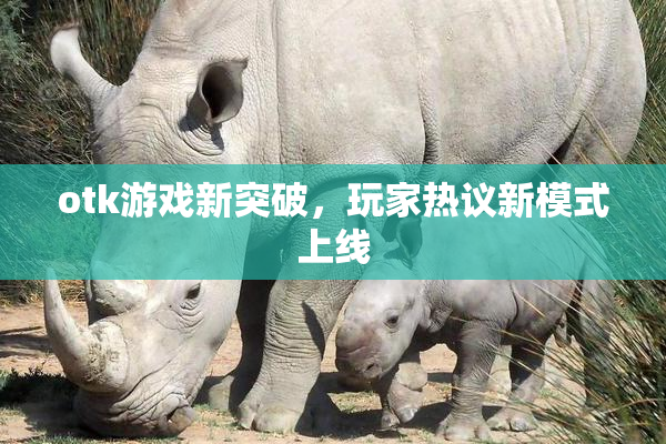 otk游戏新突破，玩家热议新模式上线