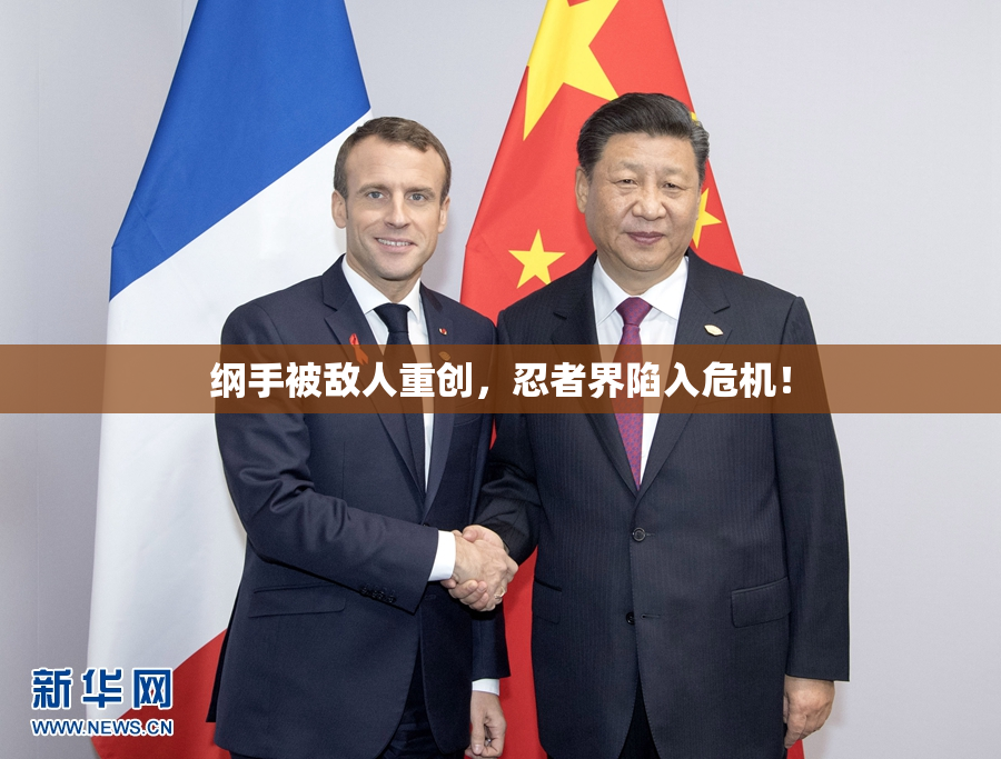 纲手被敌人重创，忍者界陷入危机！