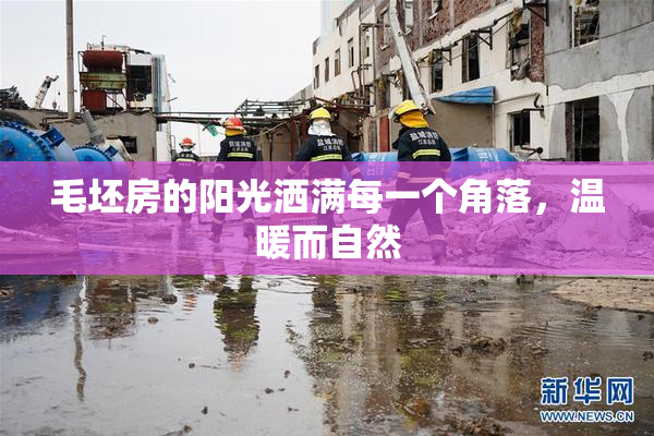 毛坯房的阳光洒满每一个角落，温暖而自然