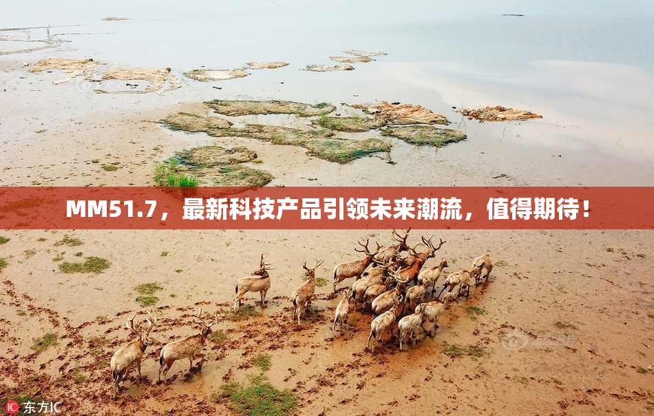 MM51.7，最新科技产品引领未来潮流，值得期待！