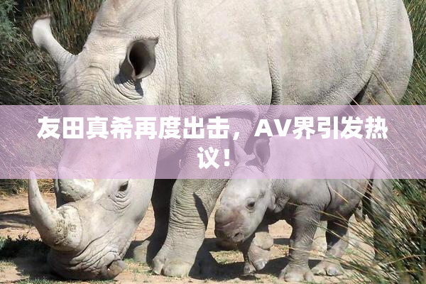 友田真希再度出击，AV界引发热议！