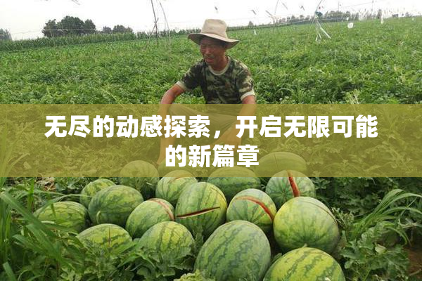 无尽的动感探索，开启无限可能的新篇章