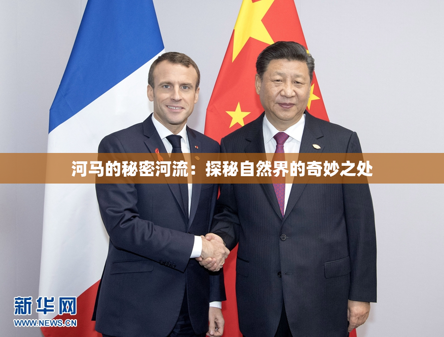 河马的秘密河流：探秘自然界的奇妙之处