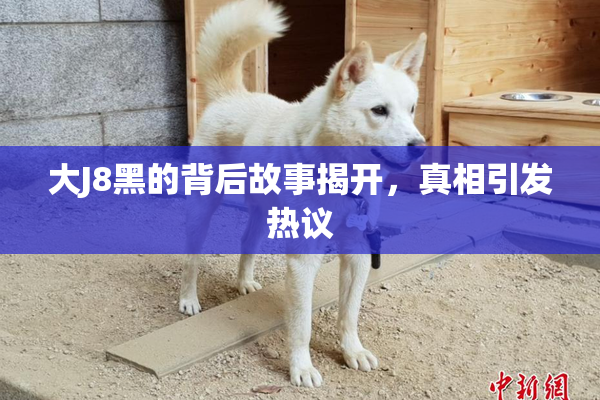 大J8黑的背后故事揭开，真相引发热议