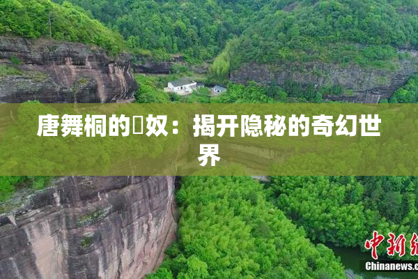 唐舞桐的婬奴：揭开隐秘的奇幻世界