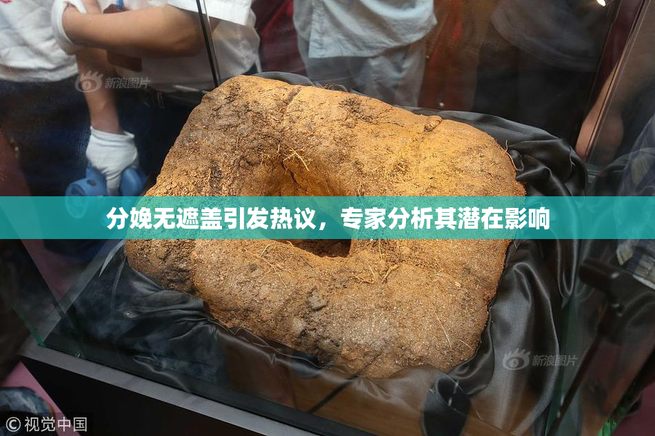 分娩无遮盖引发热议，专家分析其潜在影响