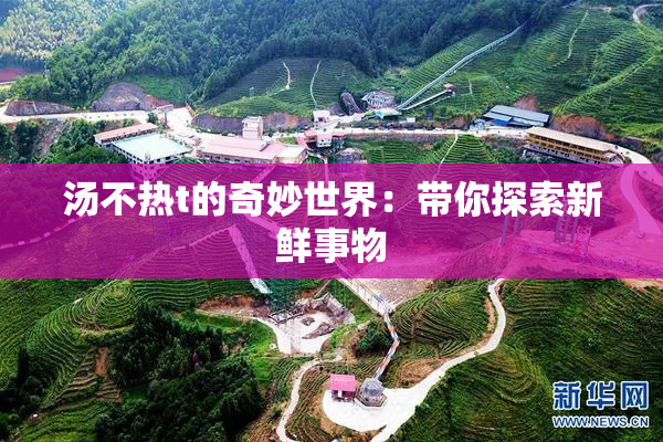 汤不热t的奇妙世界：带你探索新鲜事物