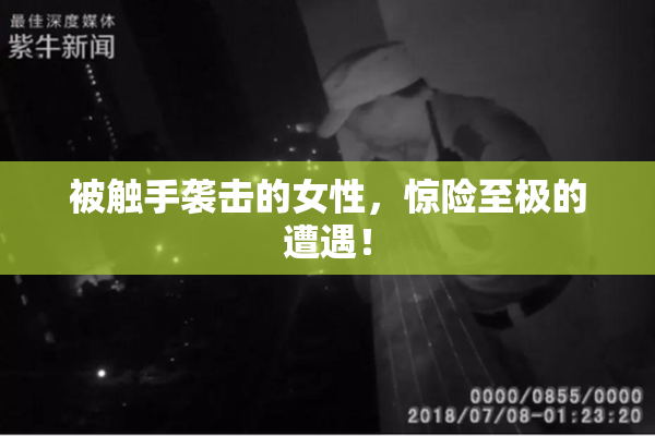 被触手袭击的女性，惊险至极的遭遇！