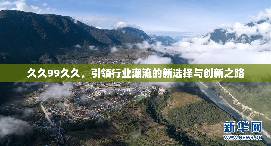 久久99久久，引领行业潮流的新选择与创新之路