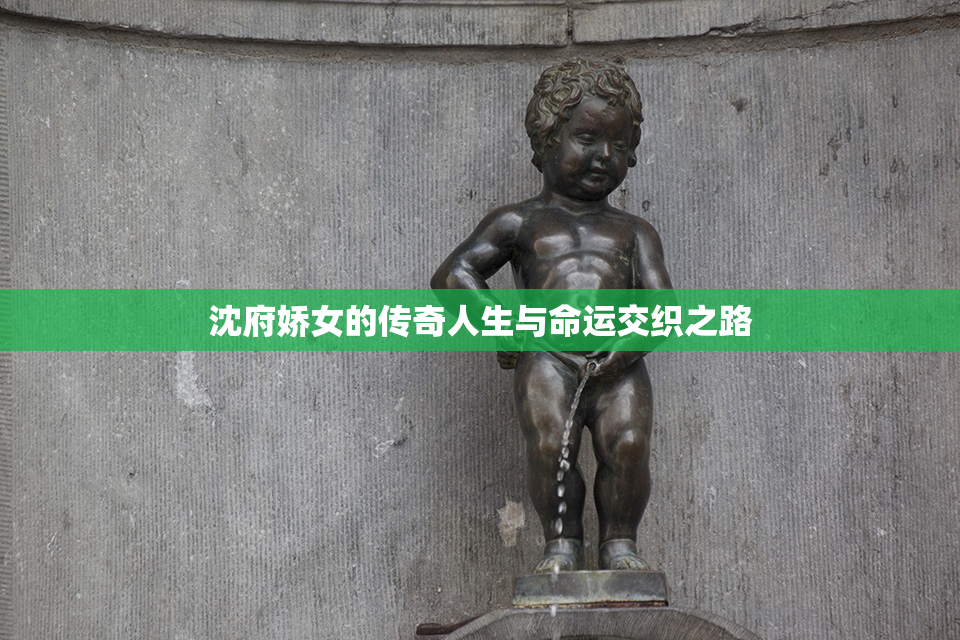 沈府娇女的传奇人生与命运交织之路