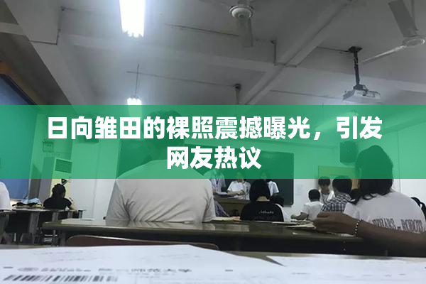 日向雏田的裸照震撼曝光，引发网友热议
