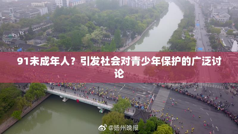 91未成年人？引发社会对青少年保护的广泛讨论