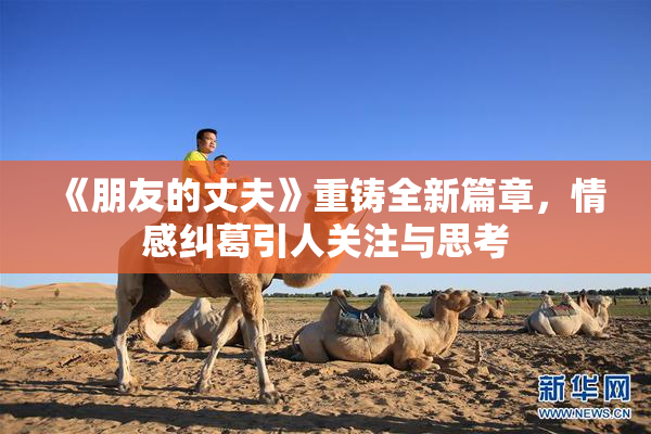 《朋友的丈夫》重铸全新篇章，情感纠葛引人关注与思考